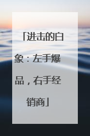 进击的白象：左手爆品，右手经销商