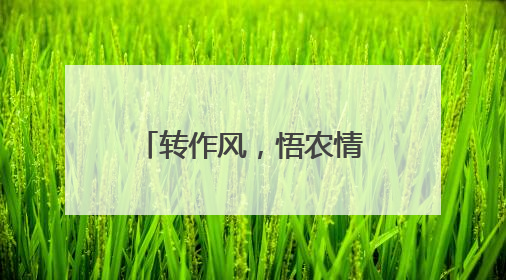 转作风，悟农情！农民日报社青年编辑记者百日驻村活动，走起→