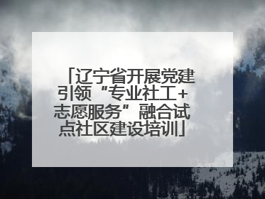 辽宁省开展党建引领“专业社工+志愿服务”融合试点社区建设培训