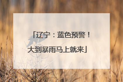 辽宁：蓝色预警！大到暴雨马上就来