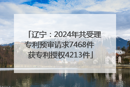 辽宁：2024年共受理专利预审请求7468件 获专利授权4213件