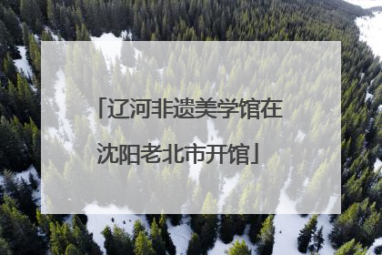 辽河非遗美学馆在沈阳老北市开馆