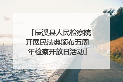 辰溪县人民检察院开展民法典颁布五周年检察开放日活动