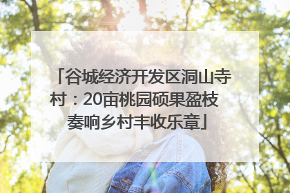 谷城经济开发区洞山寺村：20亩桃园硕果盈枝 奏响乡村丰收乐章