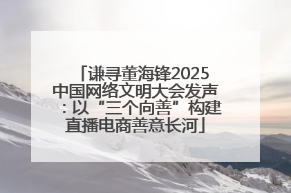谦寻董海锋2025中国网络文明大会发声：以“三个向善”构建直播电商善意长河