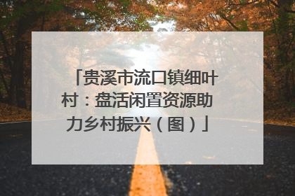 贵溪市流口镇细叶村：盘活闲置资源助力乡村振兴（图）