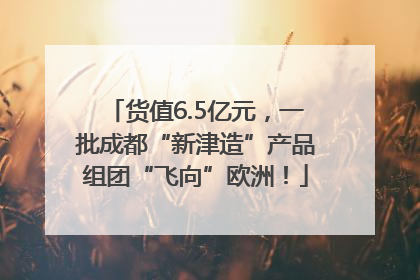 货值6.5亿元，一批成都“新津造”产品组团“飞向”欧洲！