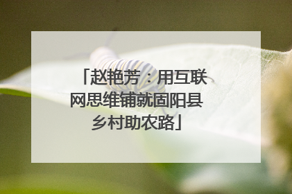 赵艳芳：用互联网思维铺就固阳县乡村助农路