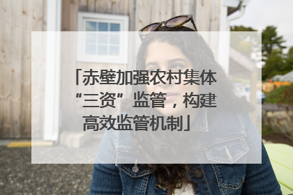 赤壁加强农村集体“三资”监管，构建高效监管机制