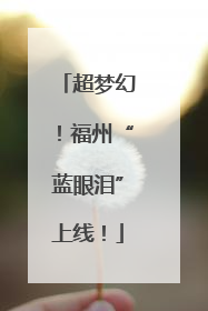 超梦幻！福州“蓝眼泪”上线！