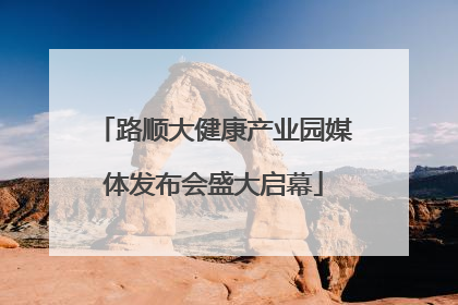 路顺大健康产业园媒体发布会盛大启幕