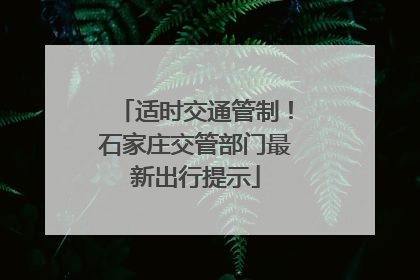 适时交通管制！石家庄交管部门最新出行提示