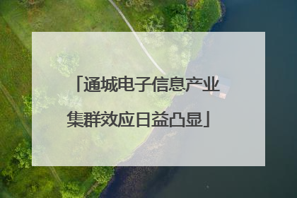 通城电子信息产业集群效应日益凸显