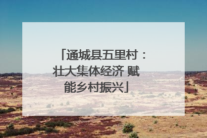 通城县五里村：壮大集体经济 赋能乡村振兴