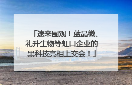 速来围观！蓝晶微、礼升生物等虹口企业的黑科技亮相上交会！