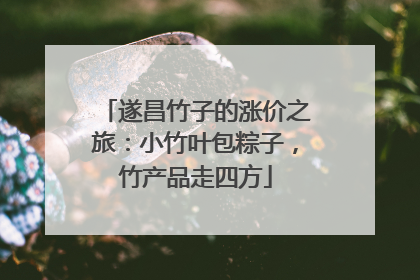 遂昌竹子的涨价之旅：小竹叶包粽子，竹产品走四方
