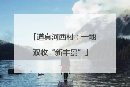 道真河西村：一地双收“新丰景”