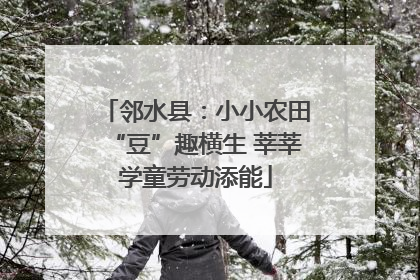 邻水县：小小农田“豆”趣横生 莘莘学童劳动添能