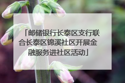 邮储银行长泰区支行联合长泰区锦溪社区开展金融服务进社区活动
