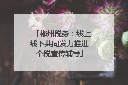 郴州税务：线上线下共同发力推进个税宣传辅导