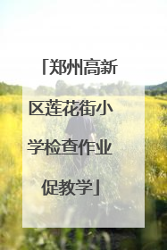 郑州高新区莲花街小学检查作业促教学