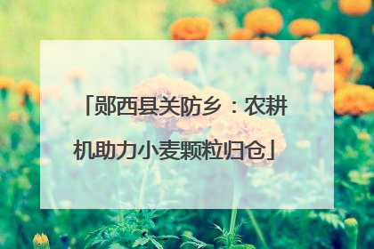 郧西县关防乡：农耕机助力小麦颗粒归仓