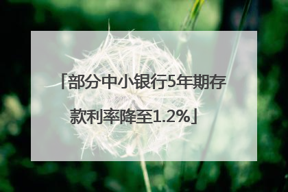部分中小银行5年期存款利率降至1.2%
