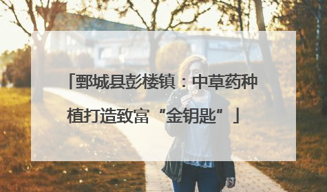 鄄城县彭楼镇：中草药种植打造致富“金钥匙”