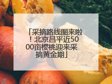 采摘路线图来啦！北京昌平近5000亩樱桃迎来采摘黄金期