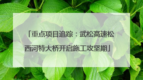 重点项目追踪：武松高速松西河特大桥开启施工攻坚期