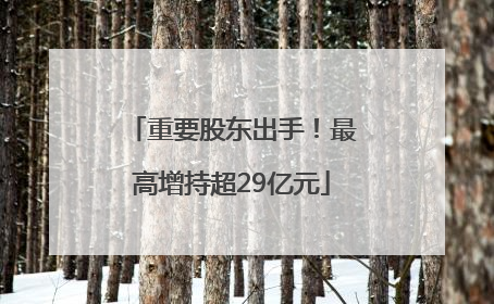 重要股东出手！最高增持超29亿元