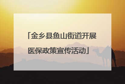 金乡县鱼山街道开展医保政策宣传活动