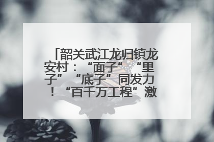 韶关武江龙归镇龙安村：“面子”“里子”“底子”同发力！“百千万工程”激活乡村新动能