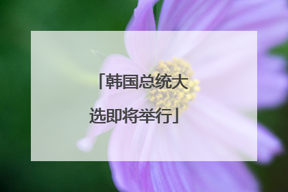 韩国总统大选即将举行