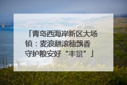 青岛西海岸新区大场镇：麦浪翻滚穗飘香 守护粮安好“丰景”