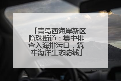 青岛西海岸新区隐珠街道：集中排查入海排污口，筑牢海洋生态防线