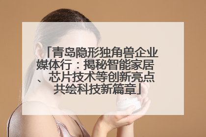 青岛隐形独角兽企业媒体行：揭秘智能家居、芯片技术等创新亮点 共绘科技新篇章
