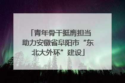 青年骨干挺膺担当 助力安徽省阜阳市“东北大外环”建设