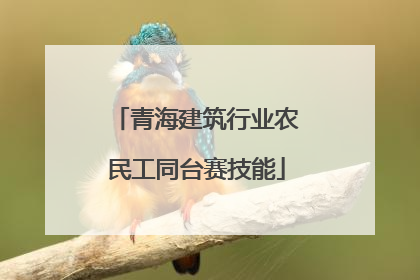 青海建筑行业农民工同台赛技能