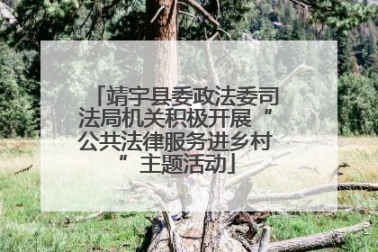 靖宇县委政法委司法局机关积极开展“公共法律服务进乡村”主题活动