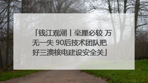 钱江观潮丨毫厘必较 万无一失 90后技术团队把好三澳核电建设安全关