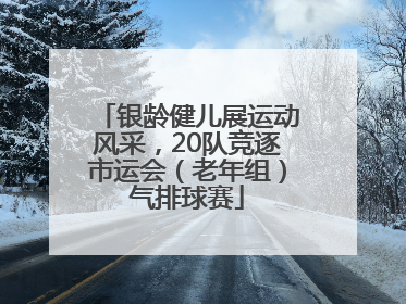 银龄健儿展运动风采，20队竞逐市运会（老年组）气排球赛