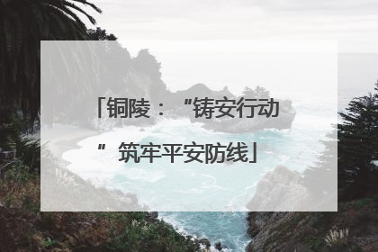 铜陵：“铸安行动”筑牢平安防线