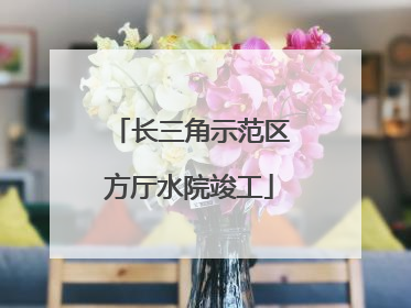 长三角示范区方厅水院竣工