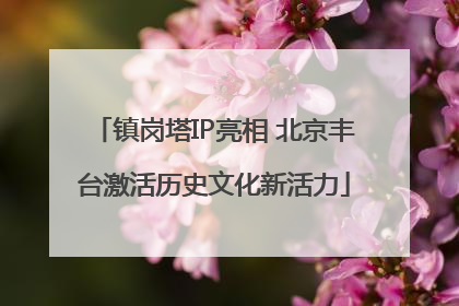 镇岗塔IP亮相 北京丰台激活历史文化新活力