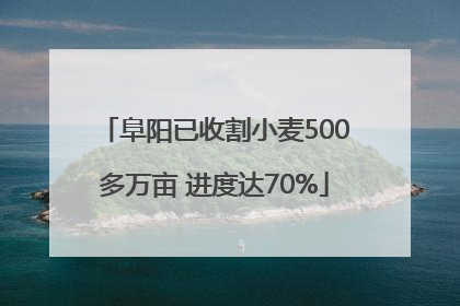 阜阳已收割小麦500多万亩 进度达70%