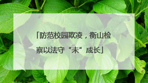 防范校园欺凌，衡山检察以法守“未”成长