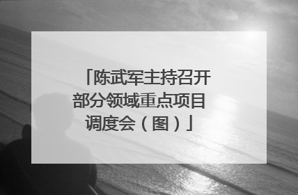 陈武军主持召开部分领域重点项目调度会（图）