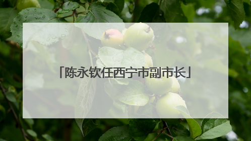 陈永钦任西宁市副市长