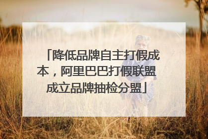 降低品牌自主打假成本，阿里巴巴打假联盟成立品牌抽检分盟